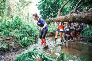 BIB: 
                            <button type="button" onclick="openModal(25516911)" class="btn btn-primary btn-sm float-right btn-popup" data-toggle="modal" data-target=".modal-high-quality">
                        <i class="fas fa-shopping-cart"></i> Add to Cart
                    </button>
                                            <button type="button" onclick="isThisMe(25516911, true)" class="btn btn-success btn-sm float-right btn-popup btn-isme hidden" data-toggle="tooltip" data-placement="bottom" title="นี่คือรูปของคุณใช่ไหม คลิกที่นี่เพื่อเอาเข้าอัลบั้ม">
                        <i class="fas fa-plus"></i> Add to album
                    </button>
                    <button type="button" onclick="isThisMe(25516911, false)" class="btn btn-warning btn-sm float-right btn-popup btn-isnotme hidden">
                        <i class="fas fa-ban"></i> Remove from album
                    </button>